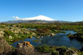 LA COGNIZIONE DELLA NATURA