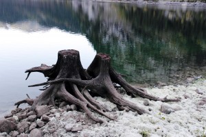 Al Teatro Val D’Agrò di Santa Teresa (ME) in scena Inferno – Suite per Dante del regista Anfuso – sabato 9 e domenica 10 aprile
