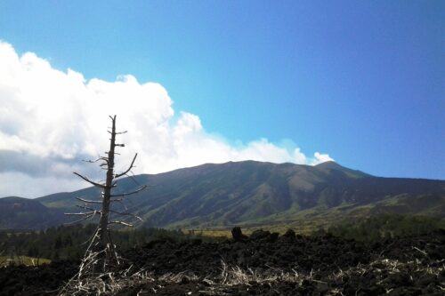 Bus turistici nel Parco dell’Etna, il ‘no’ della Regione dopo l’interrogazione di Ciancio (M5S)