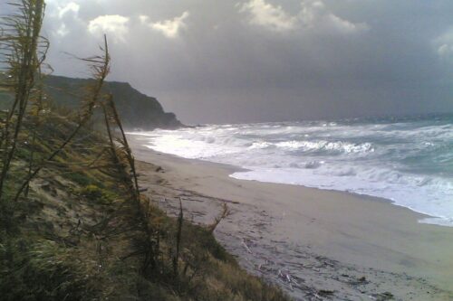 PESCE SOSTENIBILE, COSA PENSANO I SICILIANI: I DATI DEL SONDAGGIO
