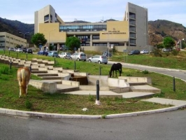 L’Università di Messina al primo posto nella graduatoria del bando del MITE sull’idrogeno