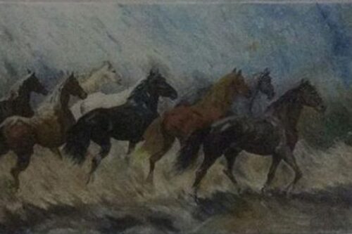 Consensus conference: Gli Stati generali del cavallo in Sicilia. Realtà e prospettive di sviluppo