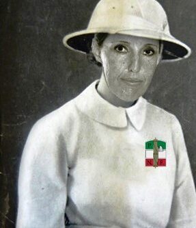 L’università di Italia Viva è una università senza futuro