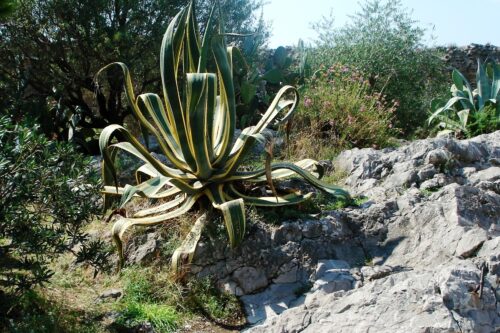 Affaire Monjib: Le Maroc s’enfonce dans l’arbitraire