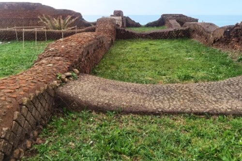 L’agricoltura dei giganti tecnologici