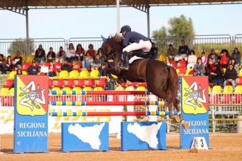 Conclusa la “Fiera mediterranea del cavallo”, Ambelia proiettata verso i circuiti sportivi internazionali