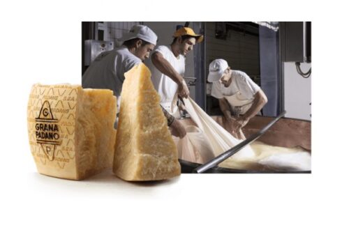 Allerta allergene: la “grana” del lisozima non dichiarato sul grana padano italiano. Lo segnala RASFF come rischio grave per la salute