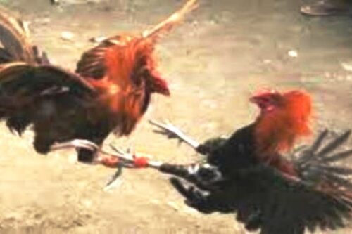 Né monarchia né diarchia: solo democrazia