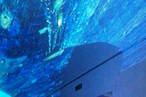 nei cimiteri pubblici di Catanzaro l’amministrazione comunale affitta lavoratori da agenzie per le sepolture