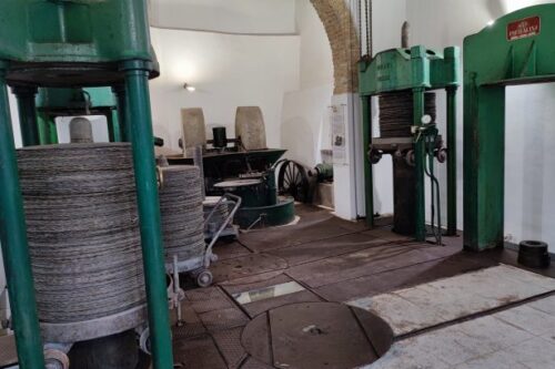 Ficarra. Un frantoio che diventa museo in un progetto che va oltre