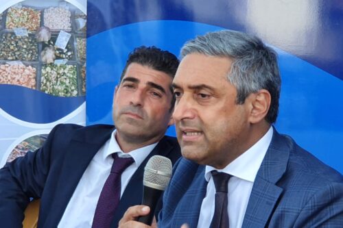 Pesca, in pubblicazione tre nuovi bandi per 5 milioni di euro Scilla: “Aiuti al settore ittico per la crisi economica da Covid 19”