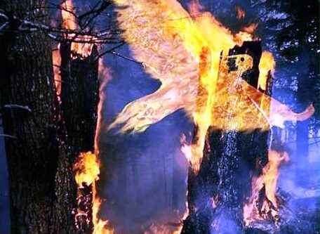 BOCCIATURA PIANO TARI