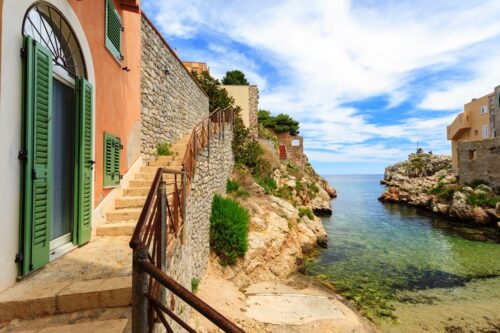 Come proteggere, pescare e cucinare il pesce principe del Mediterraneo