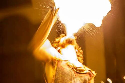 la violenza di De Luca non deve passare