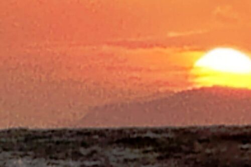 I boschi dell’Europa meridionale bruciano (anche) per incuria e impreparazione