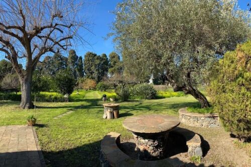 INTERPRETARE L’ANTICO. Cinque spettacoli