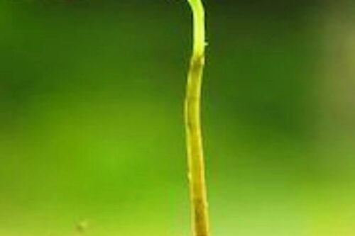 La sindrome della valutazione a scuola