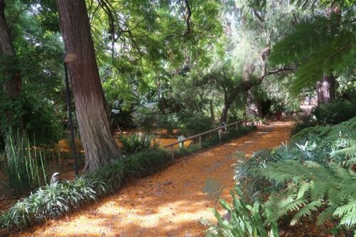 Covid, Musumeci visita hub di Palermo