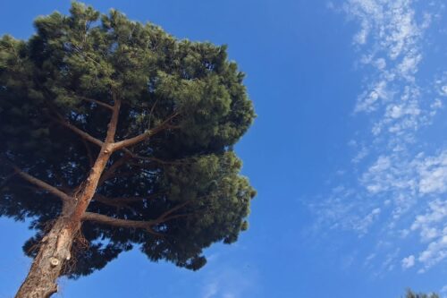 Sabina Barresi confermata nella segreteria regionale della Fai Cisl Messina