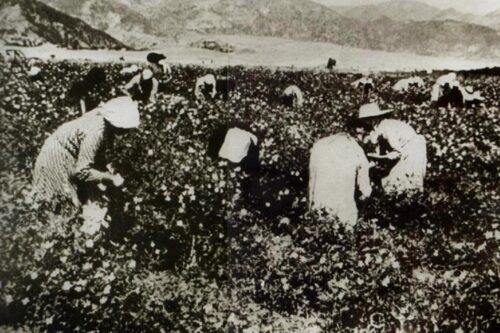 La cooperazione allo sviluppo. Dei paesi ricchi