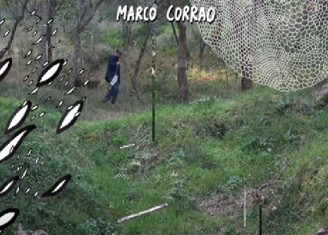 “L’Isola” di Marco Corrao da “Pietre su Pietre”