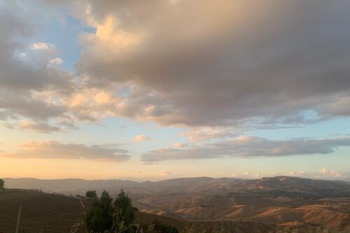 La Corte dei Conti dà ragione a USB: Rosarno aumenta le ore agli ex Lsu-Lpu