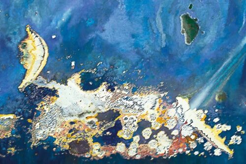 “NATURALITÀ” DI GIUSEPPE BRANCATO DAL 22 APRILE AL TEATRO VITTORIO EMANUELE PER LA SEZIONE ARTI VISIVE 2021/2022