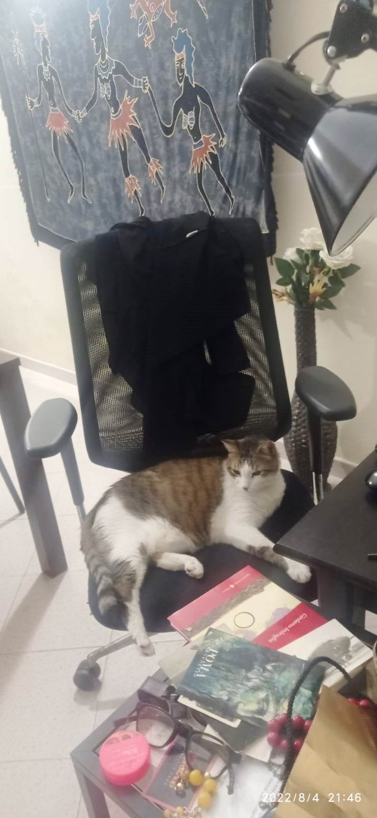 Al Majorana, la carica dei centisti: 40 di cui 21 con lode!