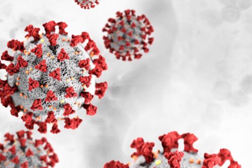 Covid, bollettino settimanale: in calo i contagi e le nuove ospedalizzazioni