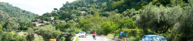 Agricoltura, autorizzata la coltivazione in Sicilia del vitigno Cesanese comune