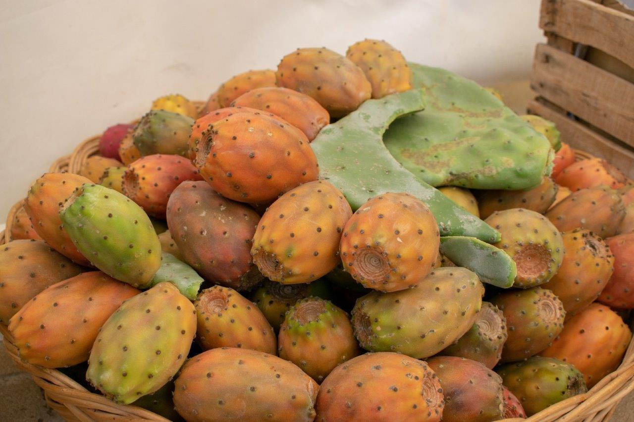 Domenica 2 ottobre, ad Alimena la terza Sagra del fico d’India