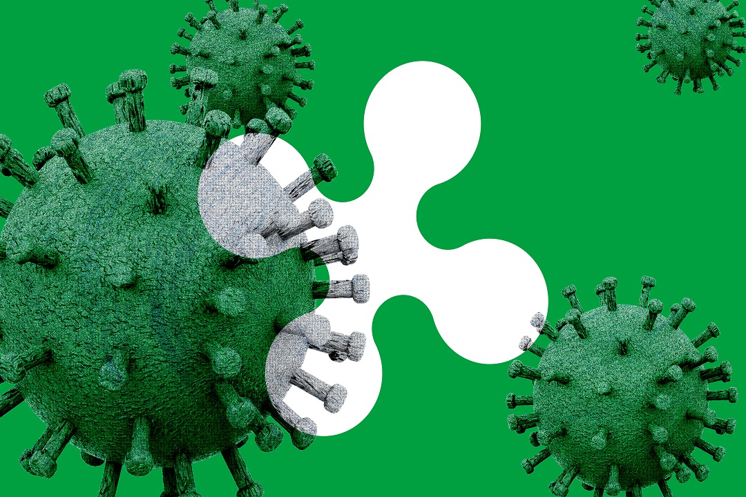 Covid, bollettino settimanale: contagi ancora in aumento (+10,04%), a rischio gli over 60