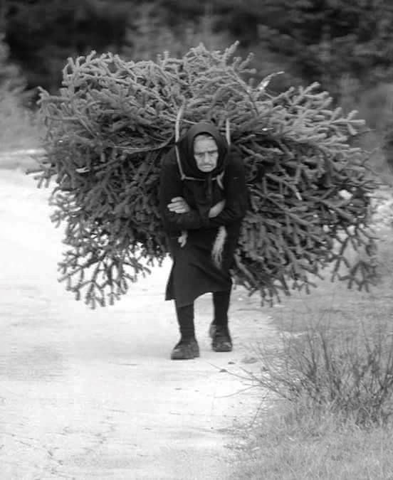 Ispirata al mito di Antigone. Il video musicale del Coro Maurolico