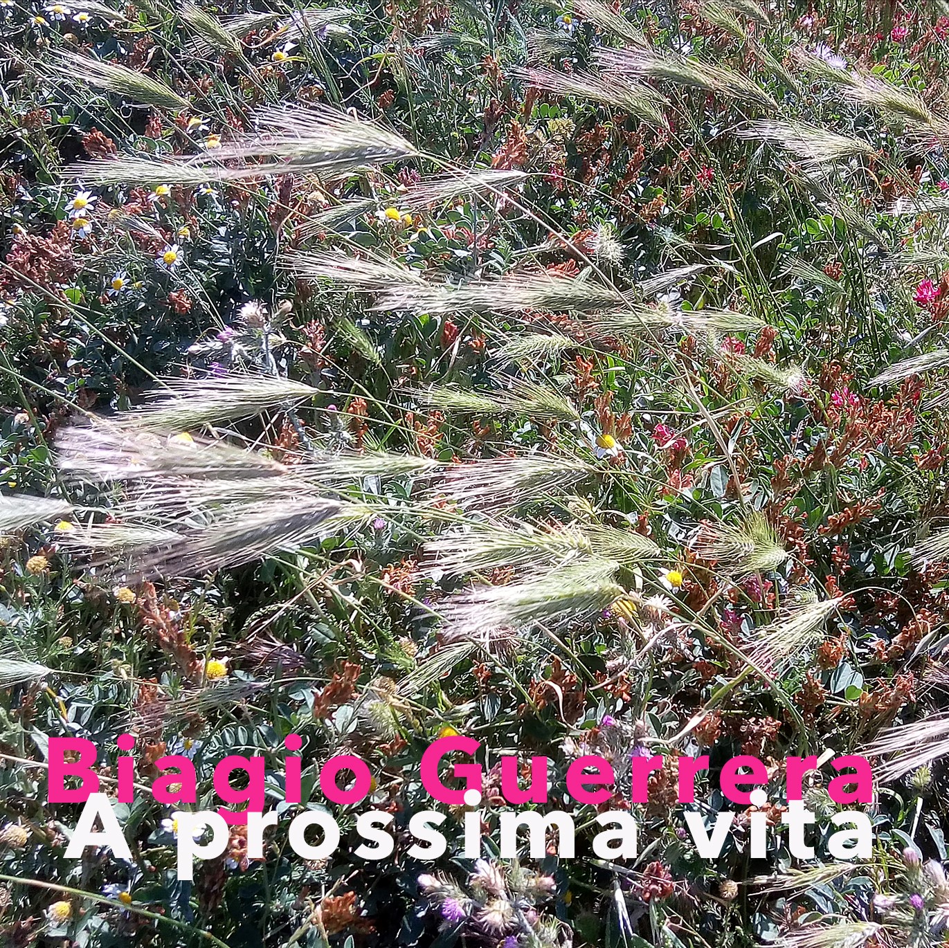 A PROSSIMA VITA