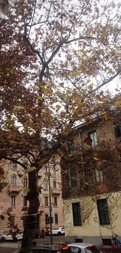 BISOGNA RISARCIRE LA MAFIA