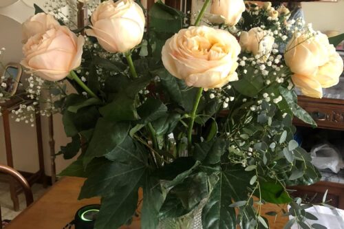 Scuola: con l’autonomia il Sud perde 1,4 miliardi