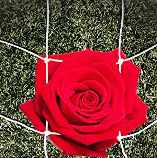 Gli uomini contro dell’Ucraina