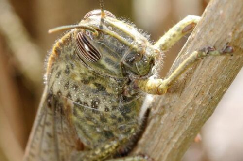 La matematica del ponte in vetrina