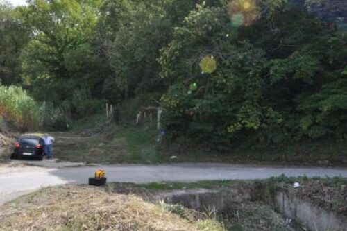 Incendi. Corrao (Greens): “Volontari sopperiscono a mancanze della Regione”