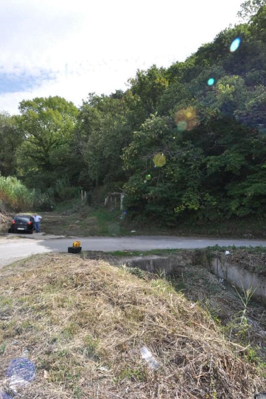 Incendi. Corrao (Greens): “Volontari sopperiscono a mancanze della Regione”