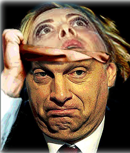 Ivg, Messina: colloqui «psicologici» affidati all’architetto pro vita