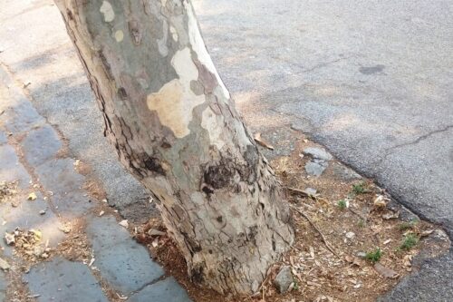 Giorno del Ricordo – 10 febbraio