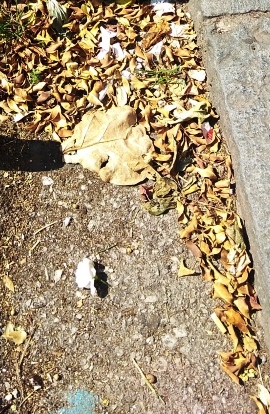 Migranti, nuovo naufragio sulla rotta della disperazione