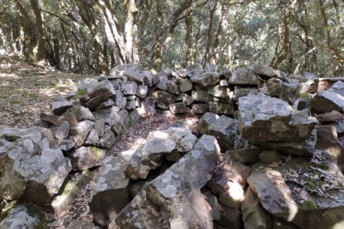 CONVEGNO IN RICORDO DI VITTORIO BELLAVITE: Sinodalità e Corresponsabilità