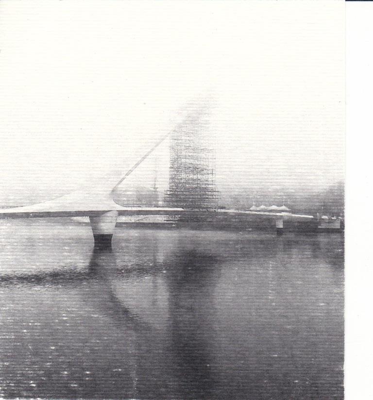 Il sonno “pulisce” il cervello dalle proteine pericolose