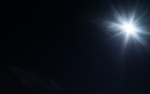 Sovranità alimentare e Palestina