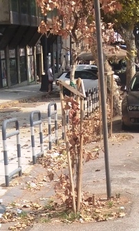 L’Università di Messina sia promotrice di Pace e non complice di Istituzioni che alimentano la guerra