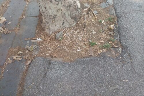 L’Unione degli Universitari di Messina chiede l’interruzione dell’accordo tra l’Università degli studi di Messina e la Hebrew University of Jerusalem