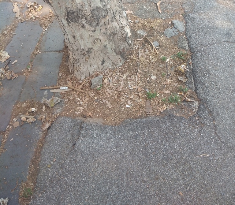 L’Unione degli Universitari di Messina chiede l’interruzione dell’accordo tra l’Università degli studi di Messina e la Hebrew University of Jerusalem