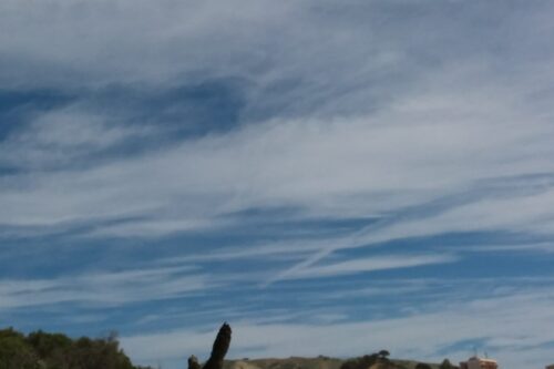 Legambiente Calabria e Legambiente Sicilia aderiscono alla manifestazione del 18 maggio organizzata dal “Comitato No Ponte”